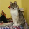 Отзыв от Диана Чумакова